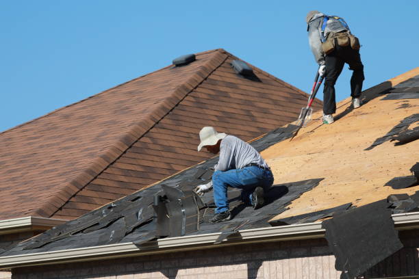 Best Roof Ventilation Installation  in Encinal, TX