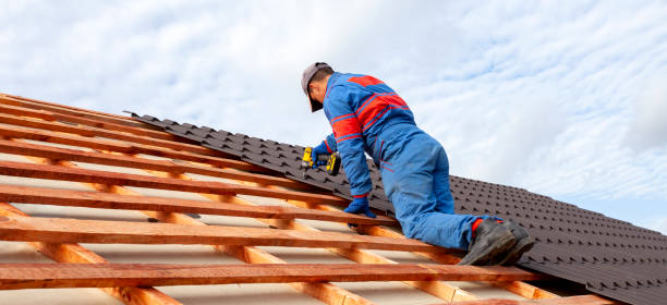 Best Asphalt Shingle Roofing  in Encinal, TX