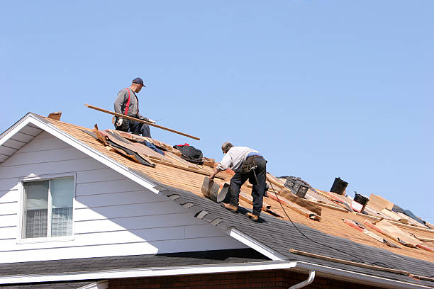 Best Tile Roofing Installation  in Encinal, TX