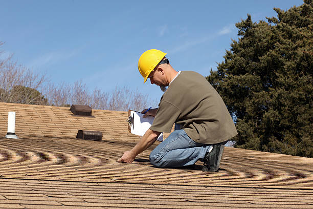 Best Roof Ventilation Installation  in Encinal, TX