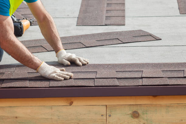 Best Roof Maintenance and Cleaning  in Encinal, TX