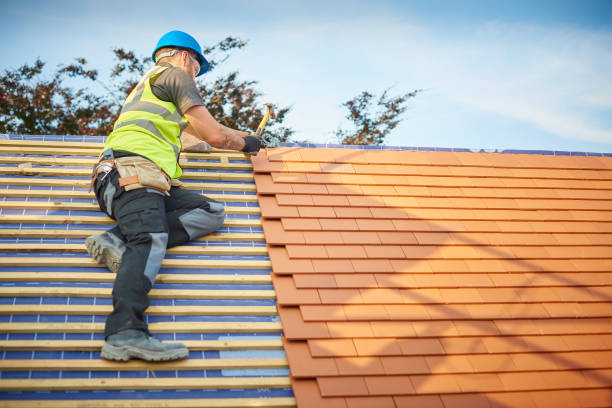 Best Cold Roofs  in Encinal, TX